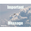 I have an important message for SBBH!!!