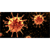 BREAKTHROUGH? Single Dose of Common Agricultural Drug Found to "Essentially Eliminate All Viral Material" of COVID-19 Within 48 hours