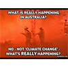 What is Really Happening in Australia, David Icke Gets Aboard the 200 Arsonists Bandwagon - In contempt of evidence the Australian bushfires like the wildfires that devastated Paradise CA were by DEW!